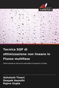 Produktbild: Tecnica SQP di ottimizzazione non lineare in Flusso multifase