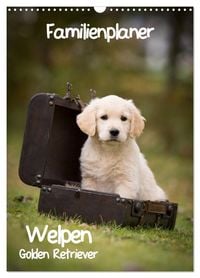 Produktbild: Familienplaner: Golden Retriever Welpen (Wandkalender 2026 DIN A3 hoch), CALVENDO Monatskalender