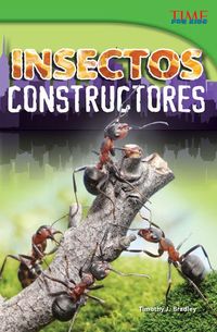 Produktbild: Insectos Constructores
