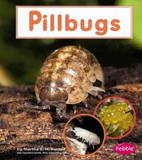 Produktbild: Watch It Grow Pillbugs