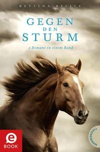 Produktbild: Gegen den Sturm