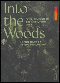 Produktbild: Into the Woods