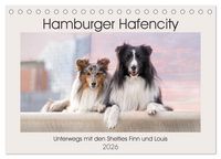 Produktbild: Hamburger Hafencity - Unterwegs mit den Shelties Finn und Louis (Tischkalender 2026 DIN A5 quer), CALVENDO Monatskalender