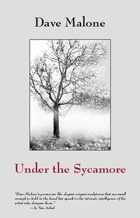 Produktbild: Under the Sycamore