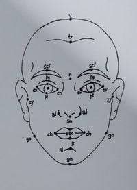 Produktbild: Megan Williams, Sheung Yiu: (Inter)Faces of Predictions