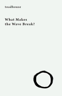 Produktbild: What Makes the Wave Break?