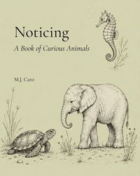 Produktbild: Noticing