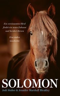 Bild vom Artikel Solomon vom Autor Jennifer Marshall Bleakley