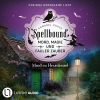 Produktbild: Mord im Hexenkessel