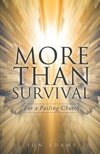 Produktbild: More Than Survival