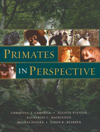 Produktbild: Primates in Perspective