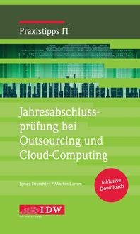 Bild vom Artikel Jahresabschlussprüfung bei Outsourcing und Cloud-Computing vom Autor Jonas Tritschler