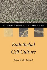 Produktbild: Endothelial Cell Culture