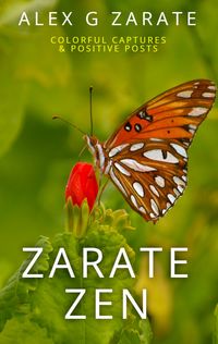 Produktbild: Zarate Zen - Colorful Captures & Positive Posts