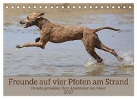 Produktbild: Freunde auf vier Pfoten am Strand (Tischkalender 2027 DIN A5 quer), CALVENDO Monatskalender
