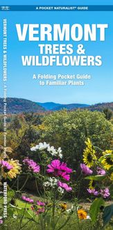 Produktbild: Vermont Trees & Wildflowers