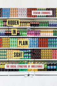 Produktbild: Hidden in Plain Sight