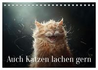 Produktbild: Auch Katzen lachen gern (Tischkalender 2027 DIN A5 quer), CALVENDO Monatskalender