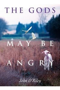 Produktbild: The Gods May Be Angry