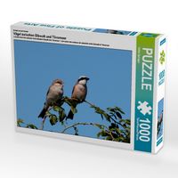 Produktbild: CALVENDO Puzzle Ein Motiv aus dem Kalender V&ouml;gel zwischen Elbwatt und T&auml;vsmoor | 1000 Teile Lege-Gr&ouml;&szlig;e 64x48cm Foto-Puzzle f&uuml;r gl&uuml;ckliche Stunden