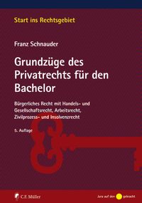 Bild vom Artikel Grundzüge des Privatrechts für den Bachelor vom Autor Franz Schnauder