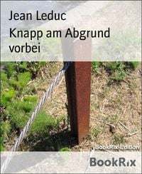 Produktbild: Knapp am Abgrund vorbei