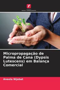 Produktbild: Micropropaga&ccedil;&atilde;o de Palma de Cana (Dypsis Lutescens) em Balan&ccedil;a Comercial