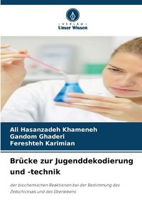 Produktbild: Br&uuml;cke zur Jugenddekodierung und -technik