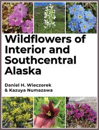 Produktbild: Wildflowers of Interior and Southcentral Alaska