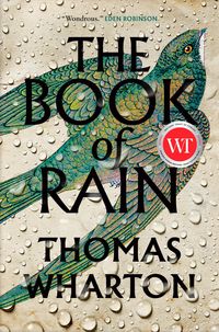 Produktbild: The Book of Rain