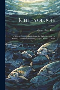Produktbild: Ichthyologie; ou, Histoire naturelle des poissons. En six parties avec 216 planches dessin&eacute;es et enlumin&eacute;es d'apr&egrave;s nature .. Volume; Volume 2