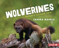Produktbild: Wolverines