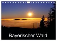 Produktbild: Bayerischer Wald (Wandkalender 2027 DIN A4 quer), CALVENDO Monatskalender