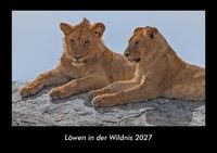Produktbild: L&ouml;wen in der Wildnis 2027 Fotokalender DIN A3