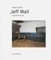 Produktbild: Jeff Wall. Specific Pictures