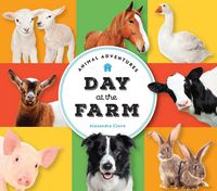 Produktbild: Animal Adventures: Day at the Farm