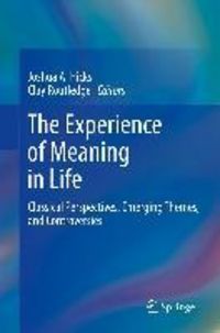 Produktbild: The Experience of Meaning in Life