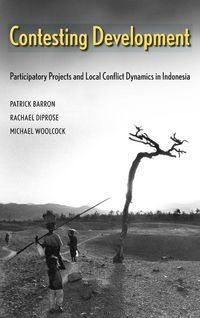 Produktbild: Contesting Development