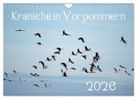 Produktbild: Kraniche in Vorpommern (Wandkalender 2026 DIN A4 quer), CALVENDO Monatskalender
