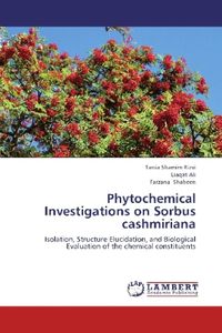 Produktbild: Rizvi, T: Phytochemical Investigations on Sorbus cashmiriana