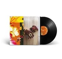 Produktbild: What Does it Take to Bloom?