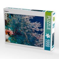 Bild vom Artikel CALVENDO Puzzle Gorgonie 1000 Teile Lege-Größe 64 x 48 cm Foto-Puzzle Bild von Christian Suttrop vom Autor Calvendo