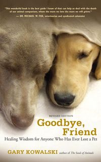 Produktbild: Goodbye, Friend