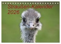 Produktbild: Strau&szlig;en-Kalender 2026 (Tischkalender 2026 DIN A5 quer), CALVENDO Monatskalender