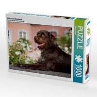 Produktbild: CALVENDO Puzzle B&ouml;hmisch Rauhbart 1000 Teile Puzzle quer | 1000 Teile Lege-Gr&ouml;&szlig;e 64 &times; 48 cm Foto-Puzzle f&uuml;r gl&uuml;ckliche Stunden