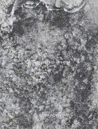 Produktbild: A Dream Not Dreamt