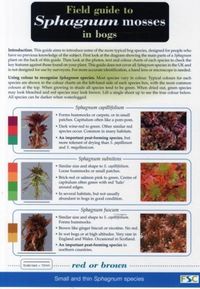 Produktbild: Field Guide to Sphagnum Mosses in Bogs