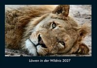 Produktbild: L&ouml;wen in der Wildnis 2027 Fotokalender DIN A4