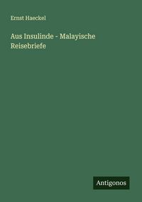 Produktbild: Aus Insulinde - Malayische Reisebriefe