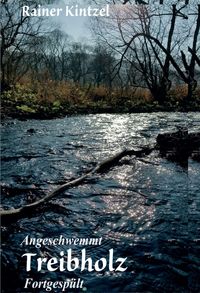 Produktbild: Treibholz